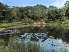 -云溪植物园
