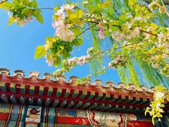 -海棠花溪(元大都城垣遗址公园)