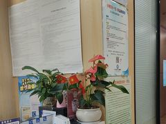 -合肥美奥口腔·种植矫正中心(政务院)