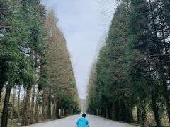 -山王坪喀斯特国家生态公园