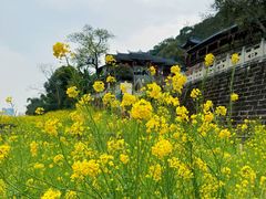 -乐山大佛风景名胜区乌尤寺南门-售票点