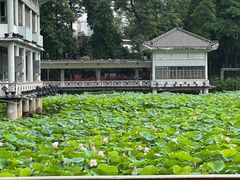 -荔湾湖公园