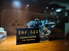 -青岛德国总督楼旧址博物馆