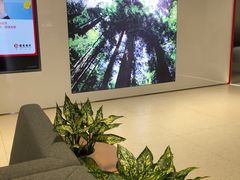 -招商银行(北京双榆树支行)