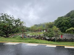 -黄埔油麻山森林公园