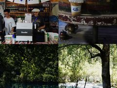 -九寨沟-树正沟