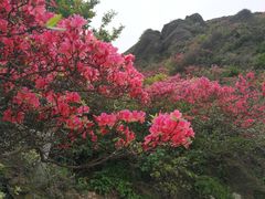 -木兰云雾山