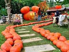 -HERRE·FARM 赫尔露营农场·团建聚会包场