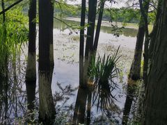 -艾溪湖湿地公园
