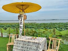 -七的湖·晚芳亭·阳澄湖农家菜·大闸蟹(莲花岛店)