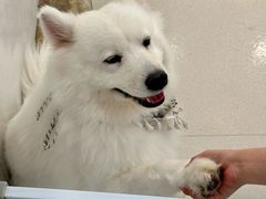 -共舞时光猫咖·狗咖(新街口店)