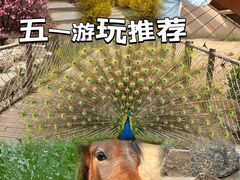 -太原动物园