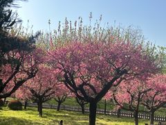 -莲花池公园