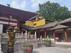 -灵谷景区