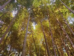 -虞山城墙