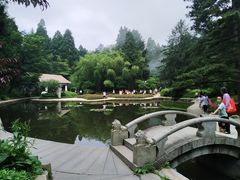 -庐山风景区花径公园