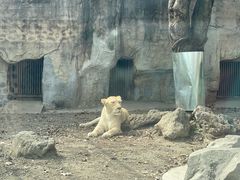 -成都动物园