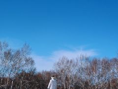 -乌兰布统草原