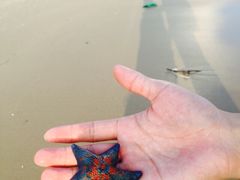 -海云台海滩