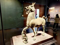 -广西壮族自治区博物馆