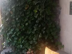 -德全心悦酒店(北京金台路地铁站店)