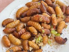 -天强农家菜馆