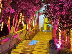 -花博汇(知音花月夜)