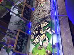 -欢乐牧场海鲜烤肉自助(牡丹园店)