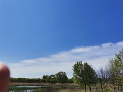 -东郊湿地公园