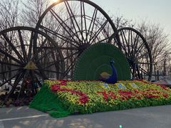 -呀路古热带植物园