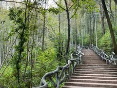 -石燕湖生态旅游景区