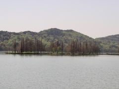 -东湖落雁景区