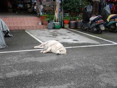 -鹅銮鼻公园