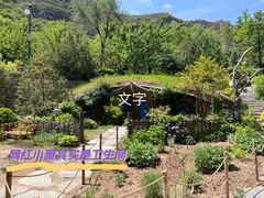-幽岚山·童话森林