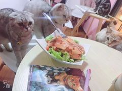 -李小姐の猫咖啡馆(五角场店)