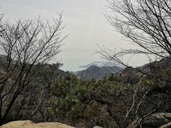 -崂山巨峰游览区