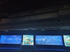 -重庆欢乐海底世界