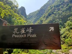 -龙湾潭国家森林公园