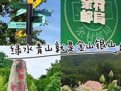 -阿露佳·舌尖上的安吉菜