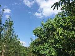 -天河潭旅游度假区