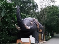-野象谷景区