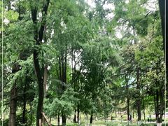 -绵阳人民公园(涪城区)