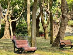 -深圳国际园林花卉博览园