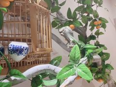 -麦子MaiMassage(打浦桥店)