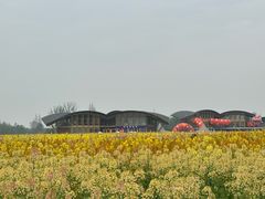 -中国天府农业博览园