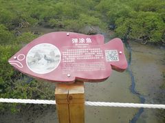 -北海金海湾红树林生态旅游区