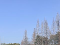 -无锡梅园公园