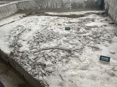 -金沙遗址博物馆