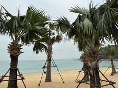 -大梅沙海滨公园