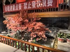 -真定郝家排骨(正定县总店)